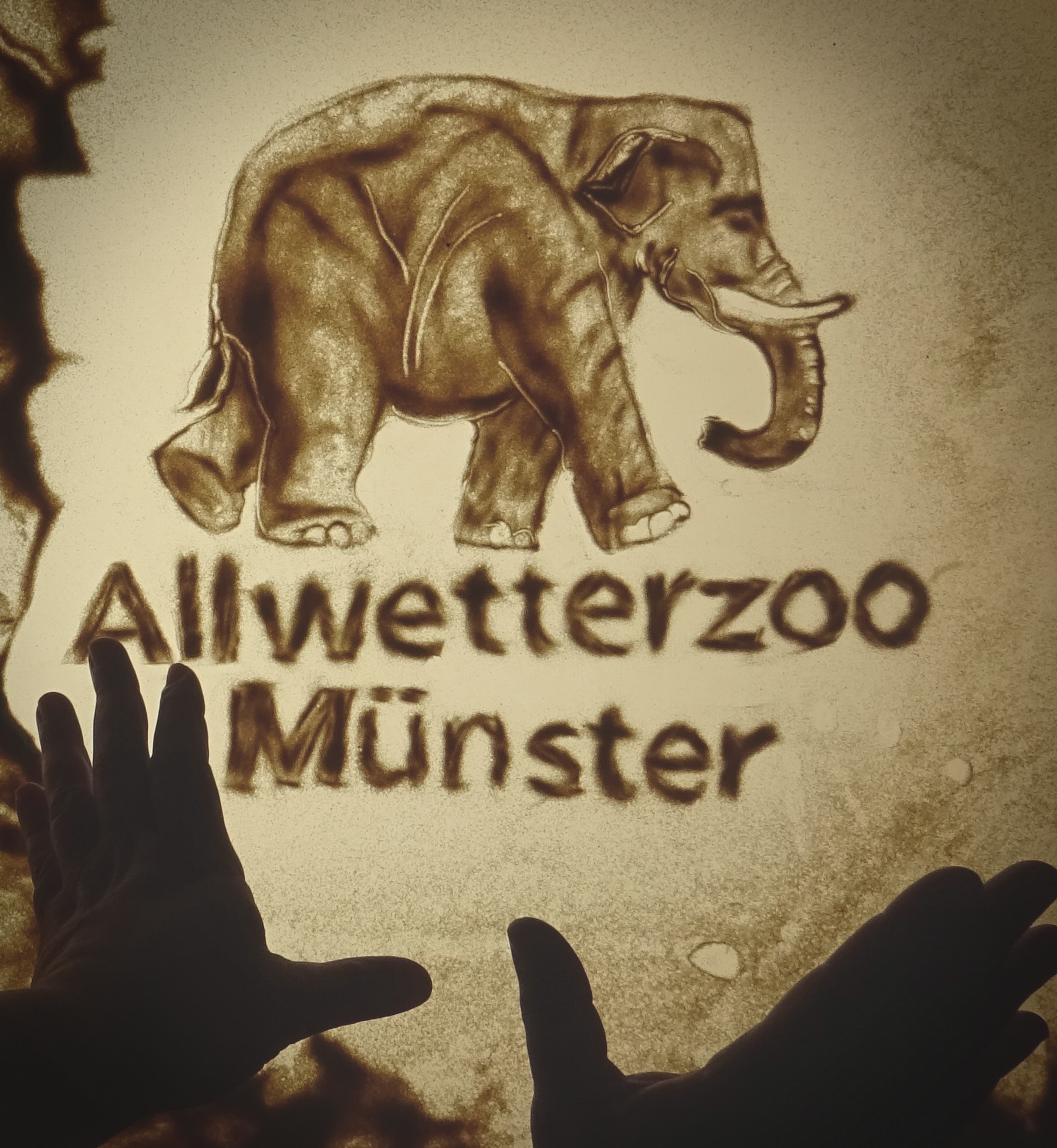 Sandbild eines Elefanten mit Schriftzug Allwetterzoo Münster, live auf der Leuchtplatte gezeichnet